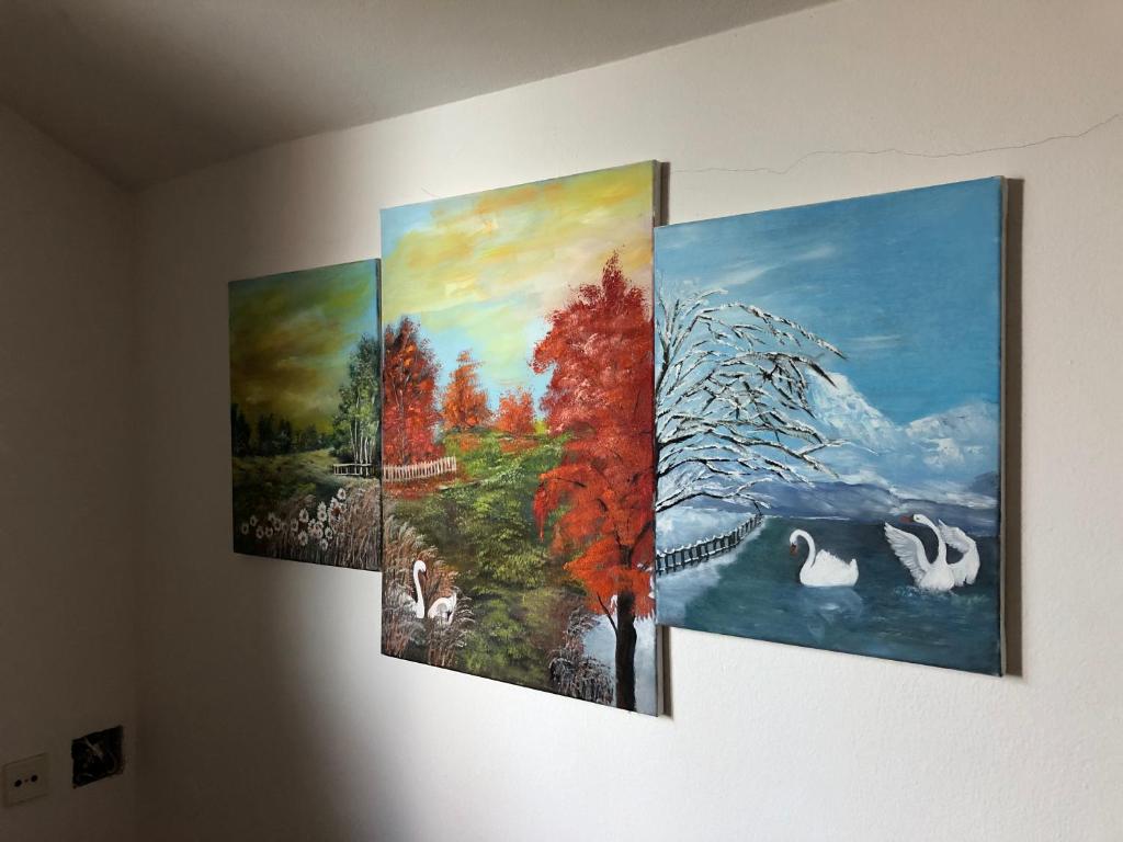 Fotografie z fotogalerie ubytování Aqua v destinaci Dunajská Streda