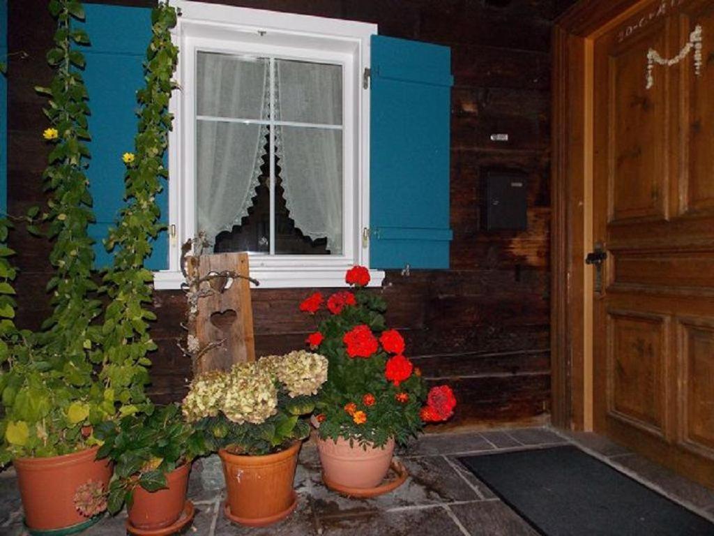 Zahrada ubytování Gästehaus Sahler