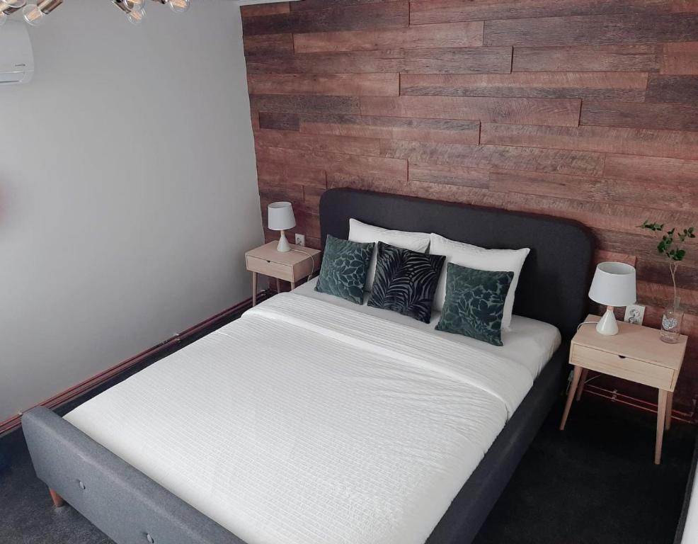 薩圖馬雷的住宿－Bulevard mansards，一间卧室配有一张床、两个床头柜和两盏灯。