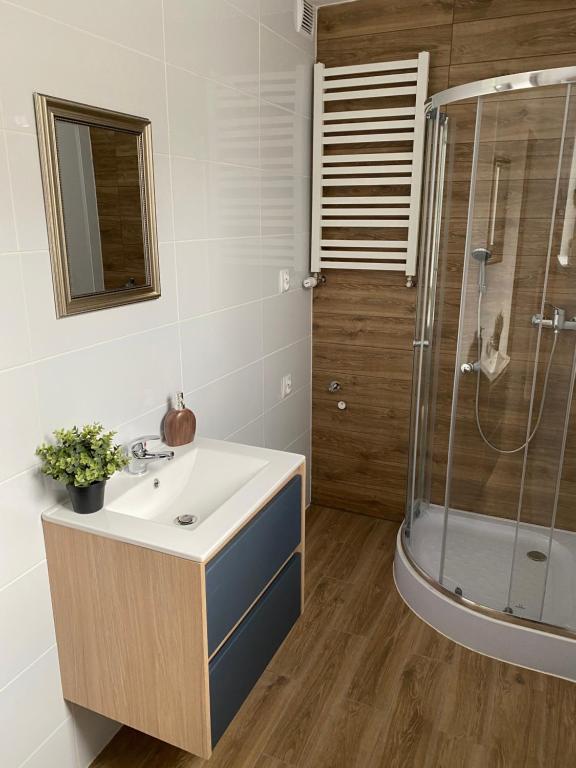 ein Bad mit einem Waschbecken und einer Dusche in der Unterkunft Apartamenty ToTuGdynia 6 in Gdynia