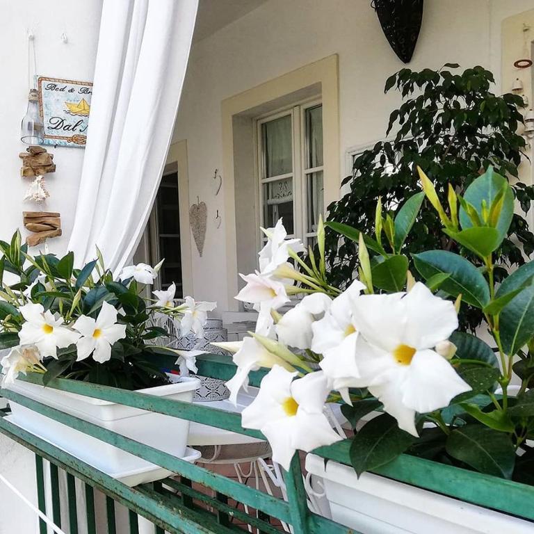 Zahrada ubytování B&B Dal Nonno