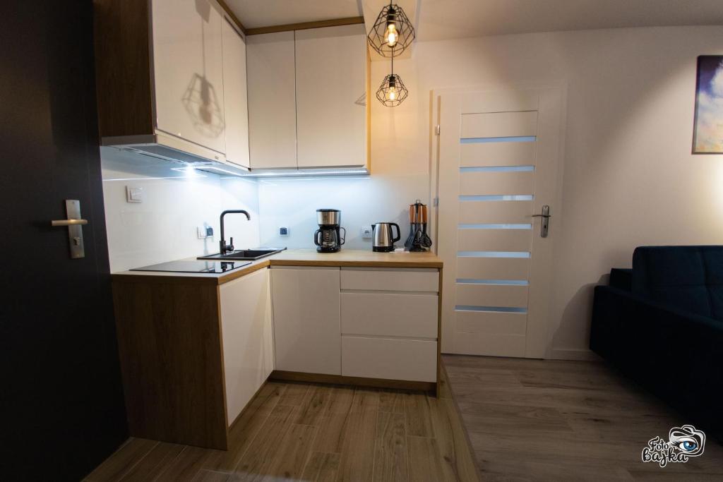 Kuchyňa alebo kuchynka v ubytovaní Apartment & Room MARINA BORKI - Apartamenty RÓŻA WIATRÓW