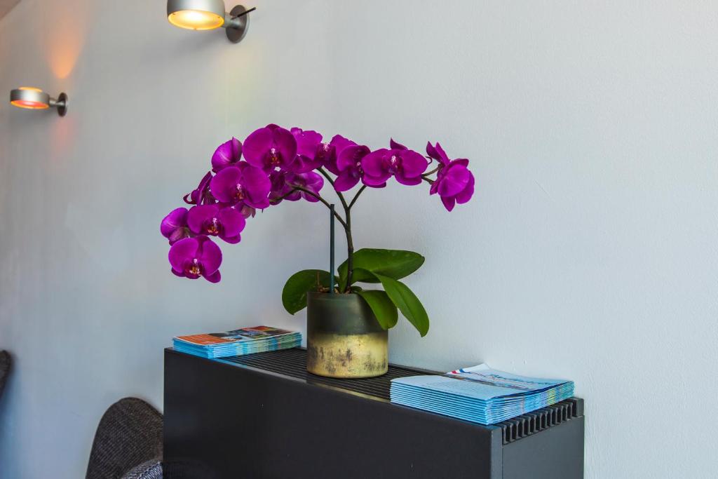 Hotel La Rosa Amsterdam Beach - Resim 27