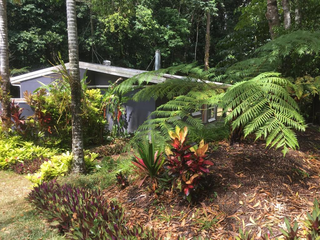 a garden in front of a house with plants at Honeybee House in Kuranda