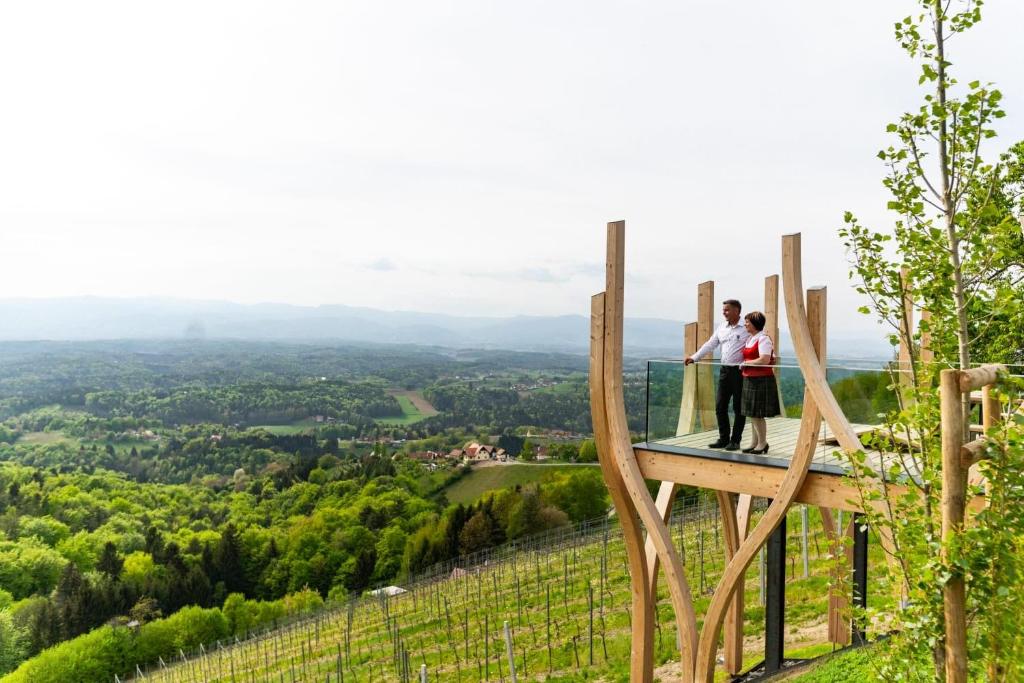 una coppia si erge su una piattaforma panoramica in cima a una collina di Helgas Ferienwohnung a Gleinstätten