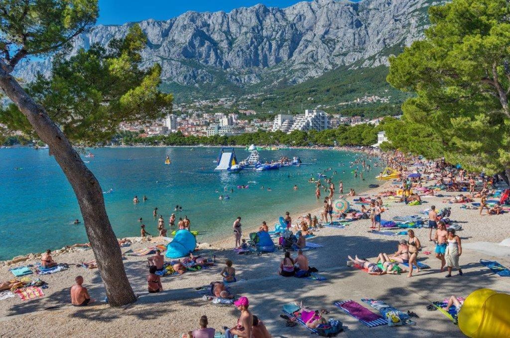 Príroda v okolí apartmánu