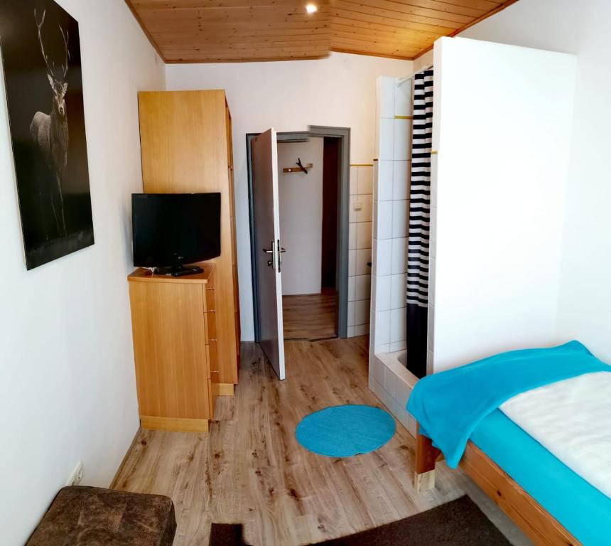 TV a/nebo společenská místnost v ubytování Hotel Apartment Das Au- Gut