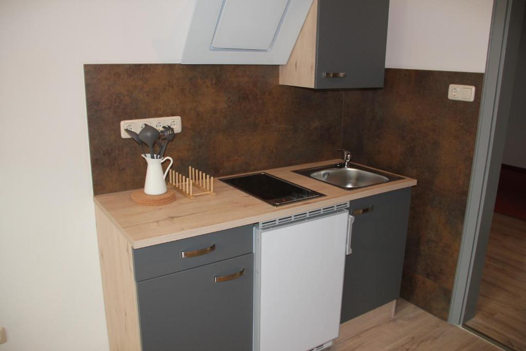 Kuchyň nebo kuchyňský kout v ubytování Hotel Apartment Das Au- Gut