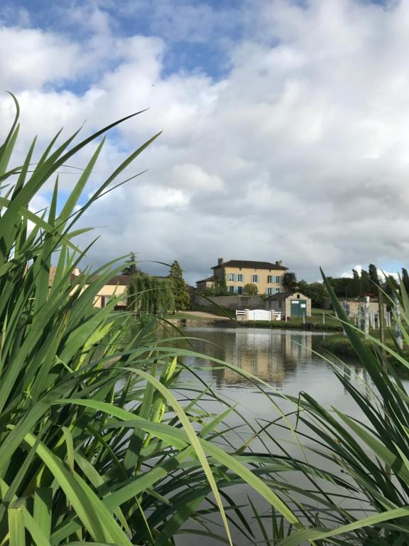 a view of a river from behind some plants at The Mad Hatters Kitchen in Chaunay