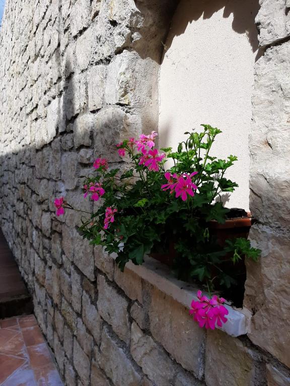 Ogród w obiekcie BMP APARTMENT DELUXE 2 JACUZZI RISCALDATA PRIVATA vista Lago di Garda