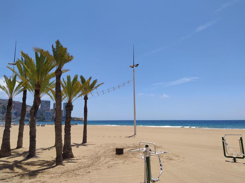 Apartment Palmeras Playa Levante First Line, Benidorm ...