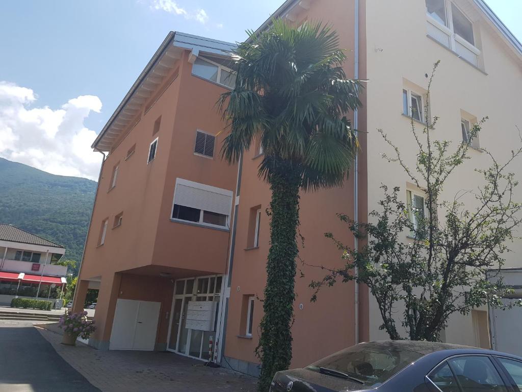 a palm tree in front of a building at Bellinzona Rooms in Bellinzona