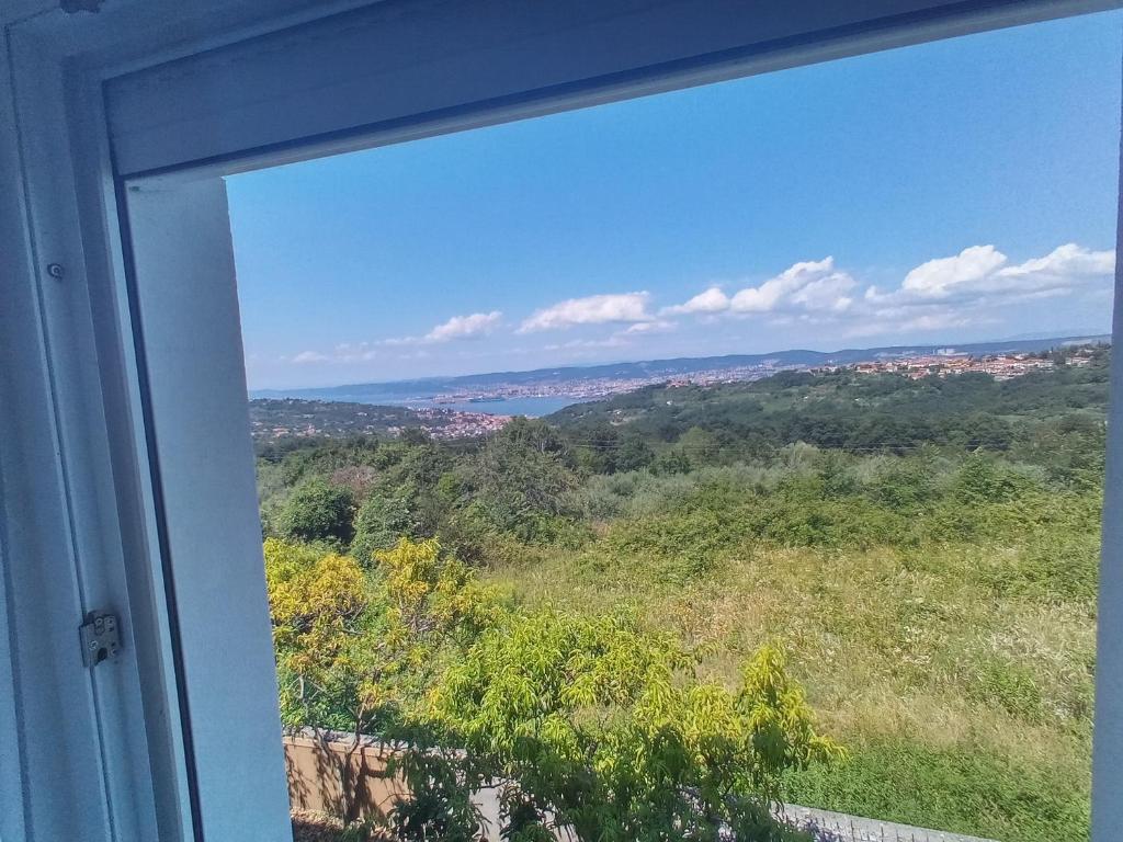 Příroda nedaleko apartmánu