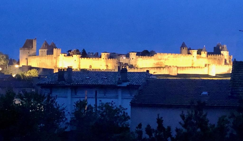卡爾卡松的住宿－Superb views of the Medieval City，一座大型城堡在晚上点燃