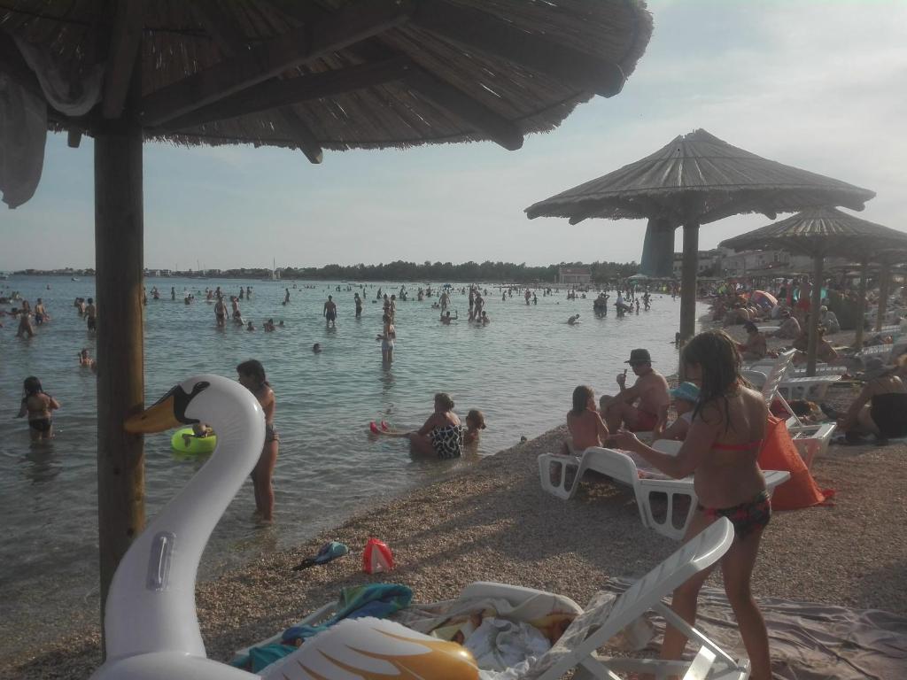 Hostia v ubytovaní Apartman Bunarić