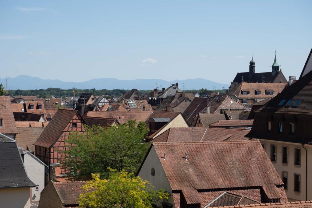 COLMAR SWEET HOME – photo 17