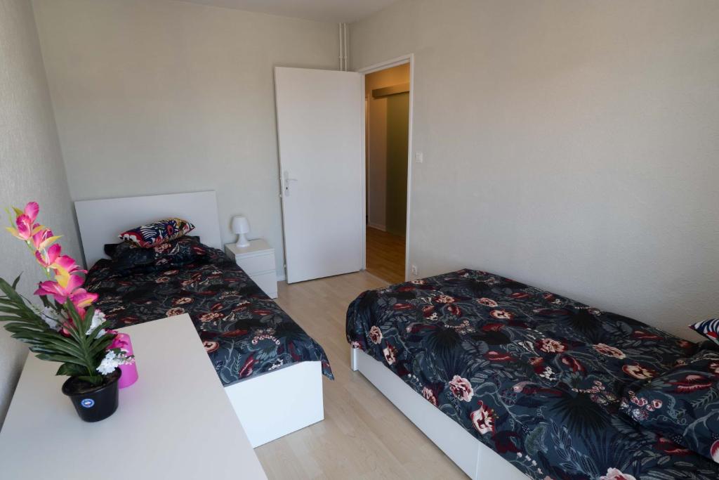 COLMAR SWEET HOME – photo 15