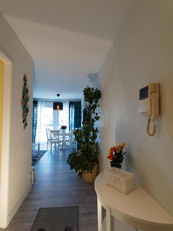 COLMAR SWEET HOME – photo 11