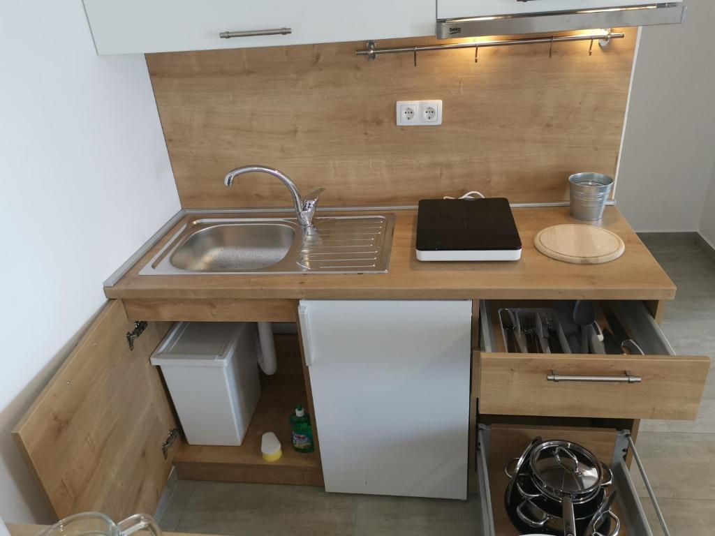 Kuchyň nebo kuchyňský kout v ubytování Apartments ZINA