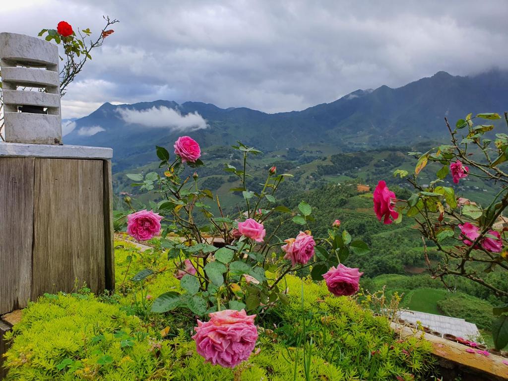 Sapa Clay House - Mountain Retreat - 6