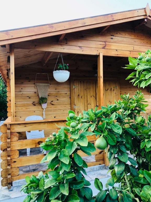 Zahrada ubytování Happy Glamping Cy