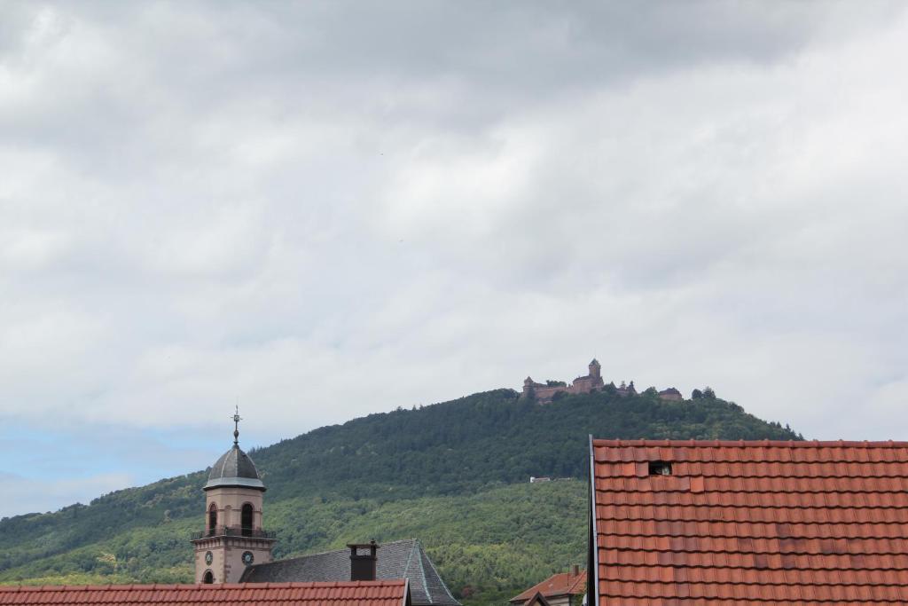 a building with a mountain in the background with roofs at Gîte Le Cep d&#39;Or Alsace in Saint-Hippolyte