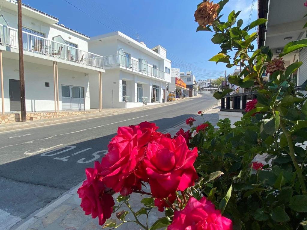 a bunch of pink roses on the side of a street at ElleNapa Apts & Studios in Ayia Napa