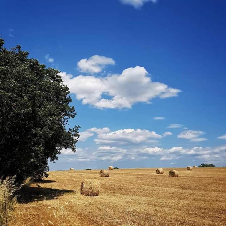 Fotografia z galérie ubytovania Affittacamere orbetello centro v destinácii Orbetello