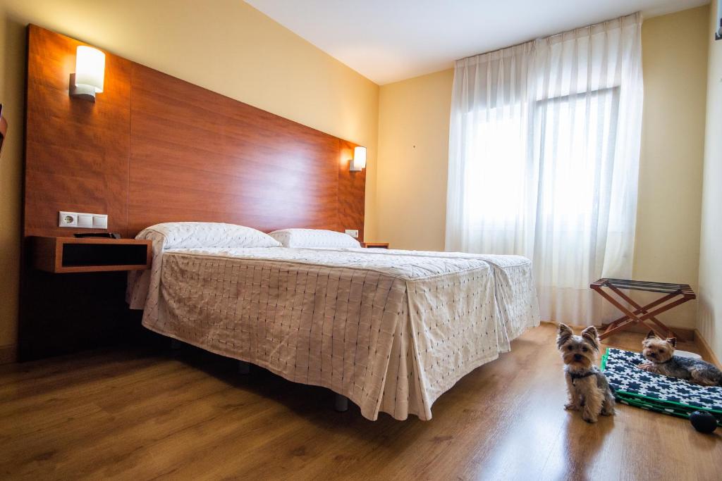 Pension Viella Asturias - 带私人浴室的双人间