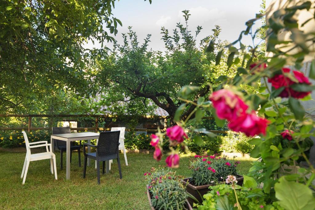 Jardín al aire libre en Hotel Cinca