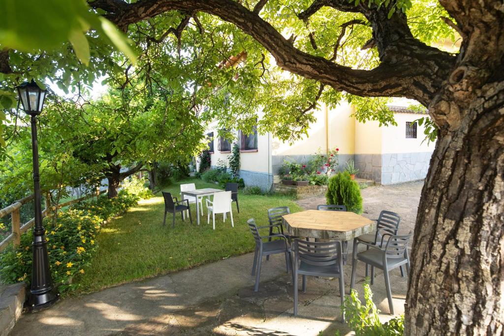 Jardín al aire libre en Hotel Cinca