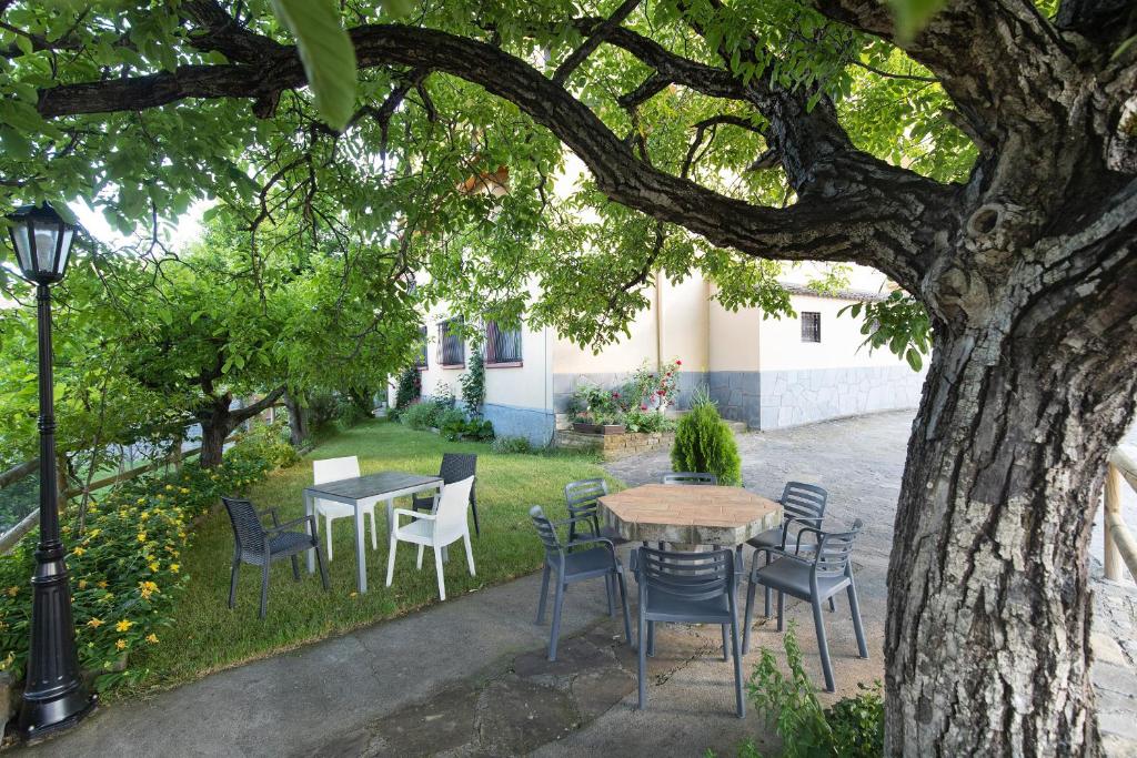 Jardín al aire libre en Hotel Cinca