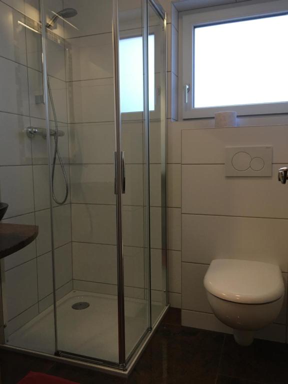 ハイリゲンブルートにあるAlm-Apartmentsのバスルーム(シャワー、トイレ付)