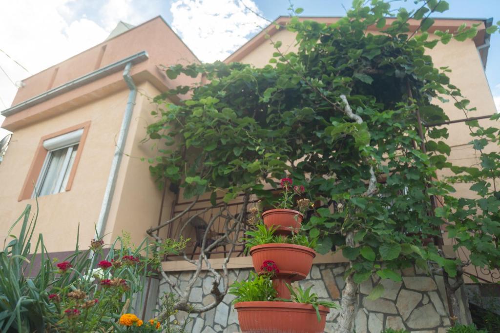 Apartment Milena - 3