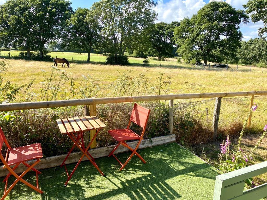 two chairs and a table and a horse in a field at Holly Tree Cottage - 3 bedrooms and large garden with optional glamping double outside in Lymington