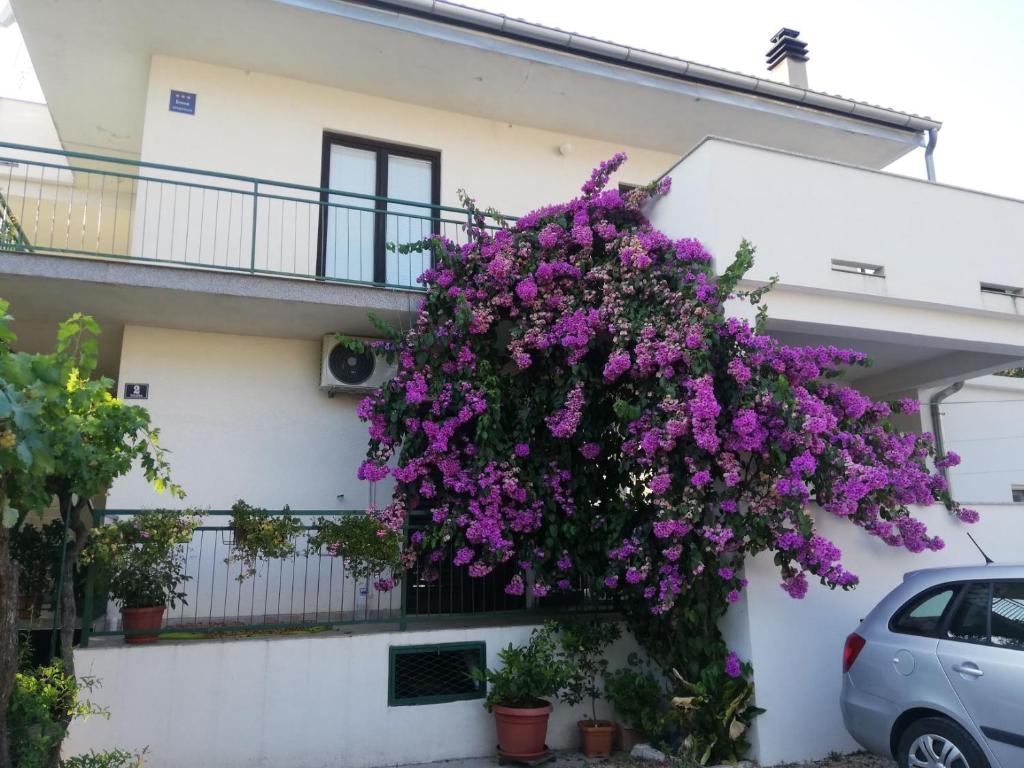 a bunch of purple flowers hanging from a building at Apartmani Danica in Pirovac