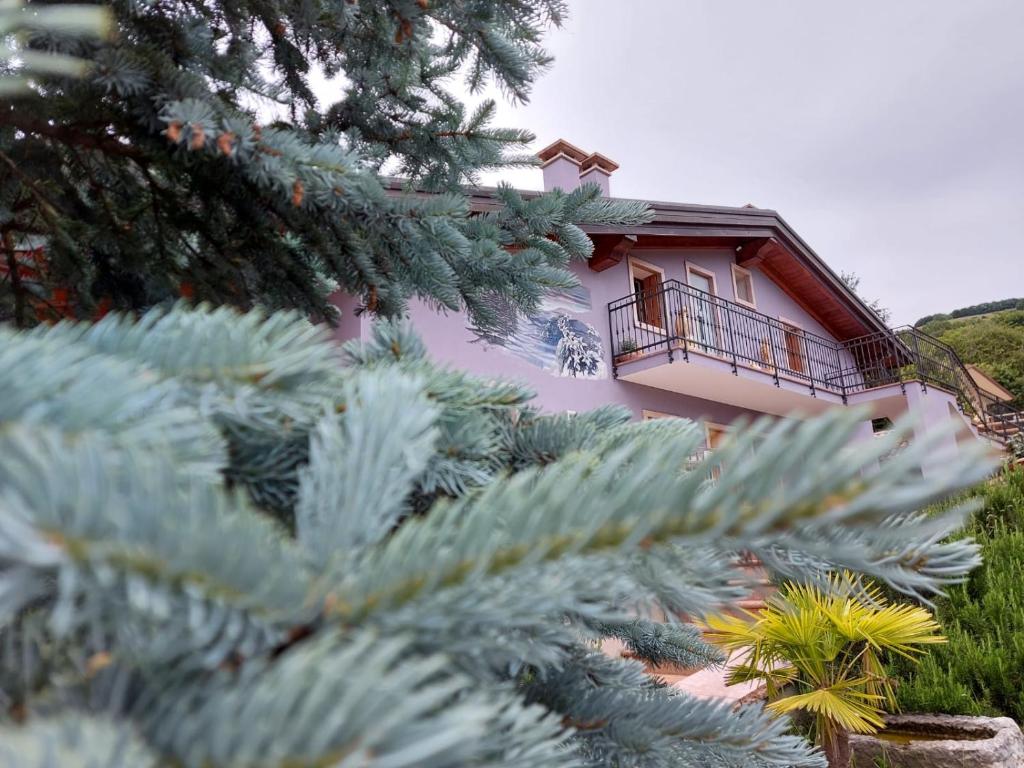 Zahrada ubytování B&B Stella Alpina