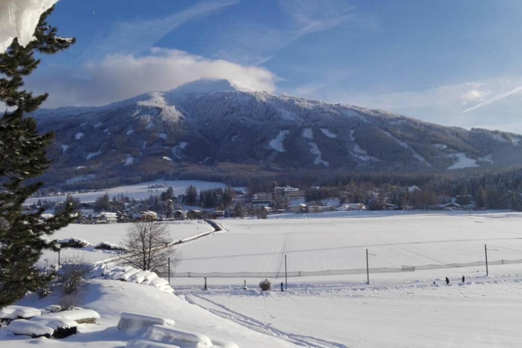 Am Seerosenweiher - 14