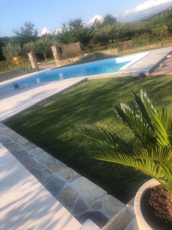 - une piscine avec un palmier dans la cour dans l'établissement Villa Santoma Hill, à Koper
