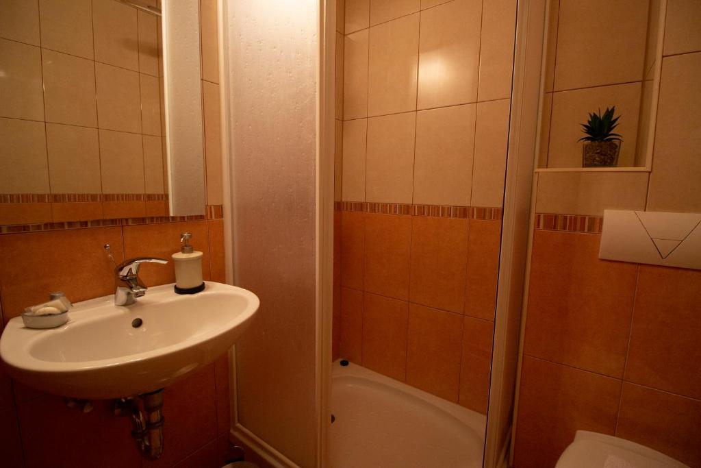 Apartments Ivana - 15