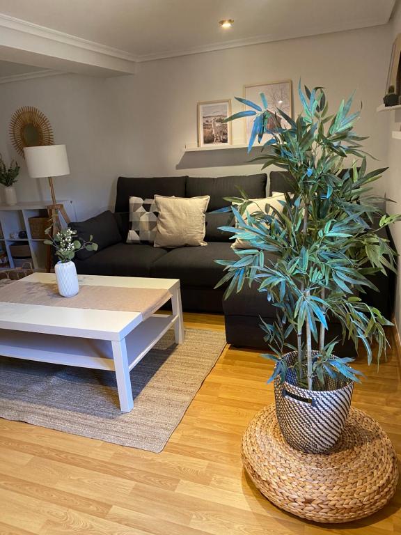 a living room with a couch and a table and a plant at Puro encanto II en el corazón de Santo Domingo in Santo Domingo de la Calzada