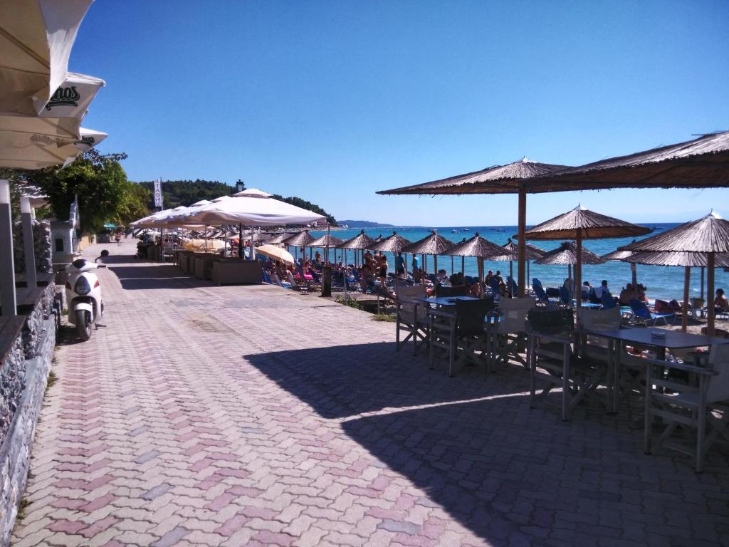 Příroda nedaleko apartmánu