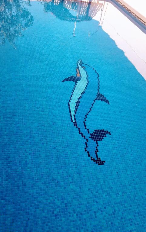 Flamingo Vila Alicante, San Pedro del Pinatar – Updated 2023 ...