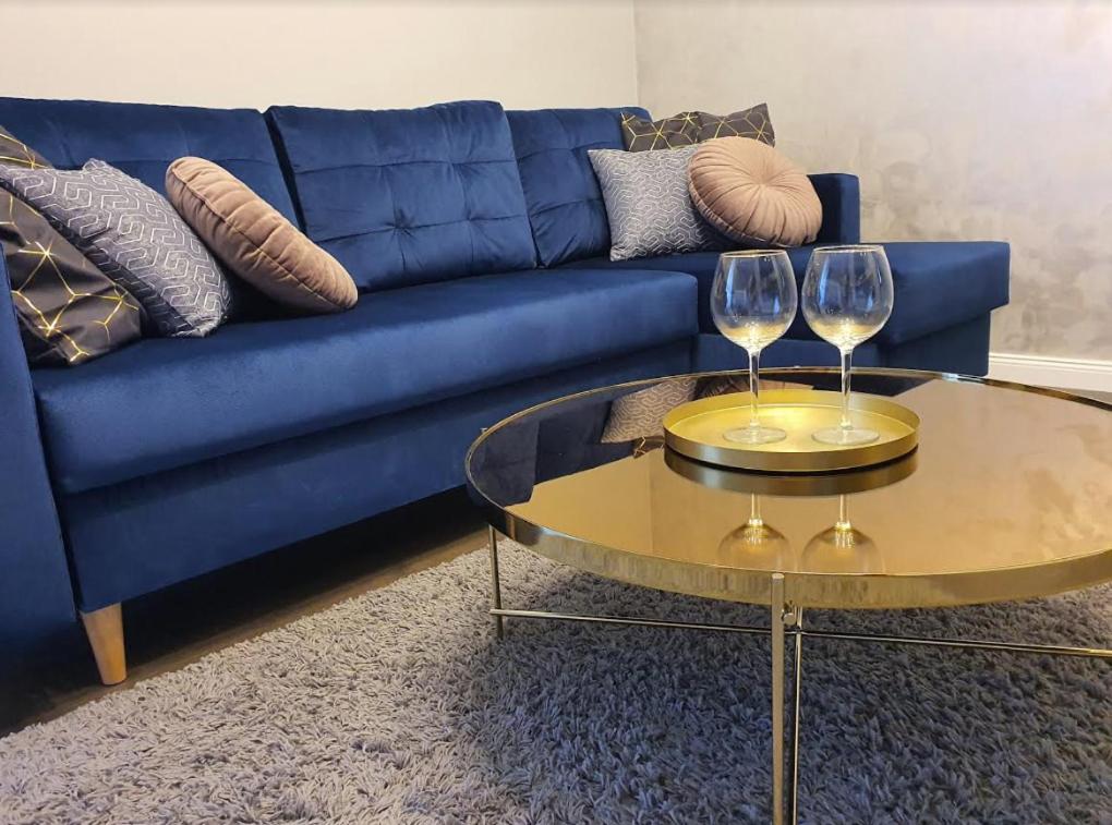 niebieska kanapa z dwoma kieliszkami wina na stoliku do kawy w obiekcie Apartament WARMIA Olsztyn 58m2 - 2 pokojowy apartament z podziemnym miejscem postojowym w Olsztynie