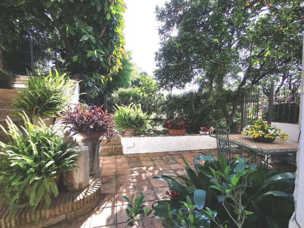 A garden outside OASI DI PACE A GAETA