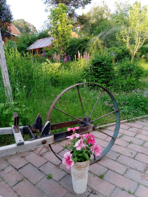 Zahrada ubytování B&B Lilla Lotten