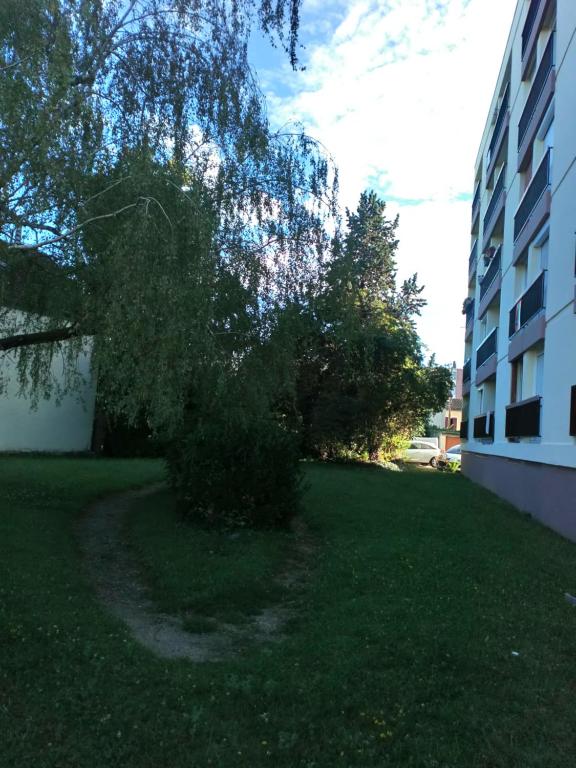 un arbusto en el césped junto a un edificio en CHAMBRE CHEZ L HABITANT, en Chalon-sur-Saône