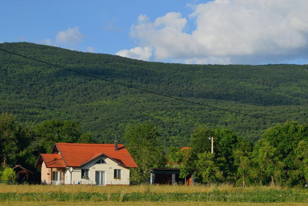 Sinac的住宿－Holiday home Melani，山前有橙色屋顶的房子