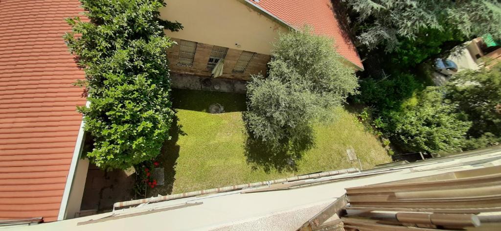 Ogród w obiekcie STEPHY HOUSE