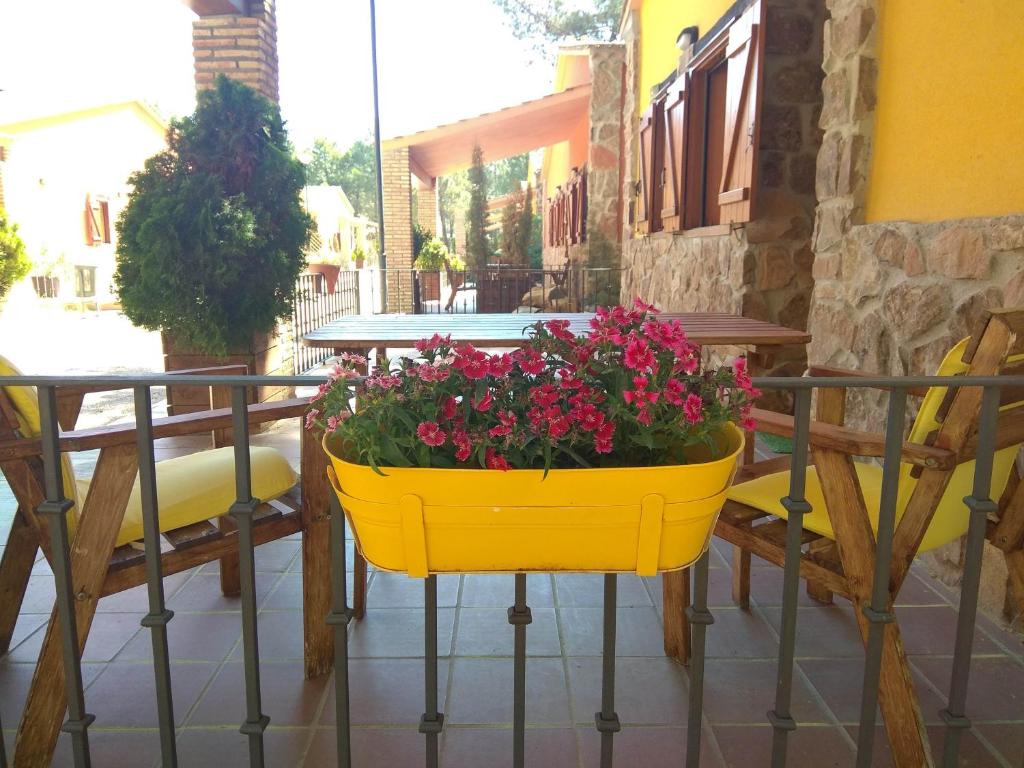 Rural Arco Iris - 17